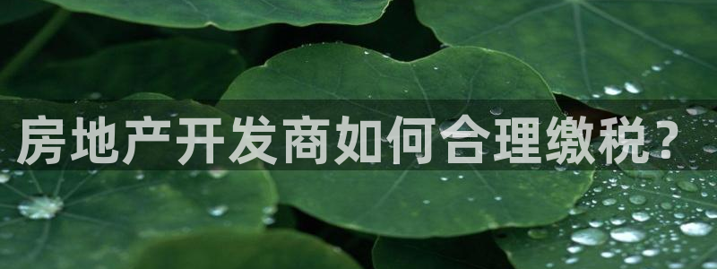 永利工程有限公司