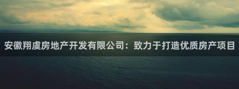 永利地产工程有限公司
