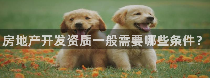 永利 老板
