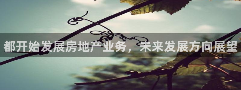 永利房地产有限公司董事长是谁