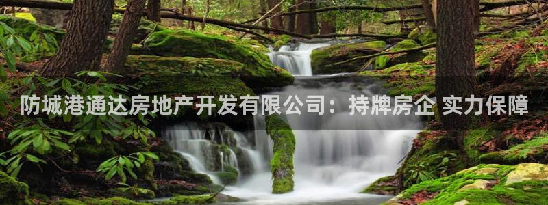 澳门永利游乐网址