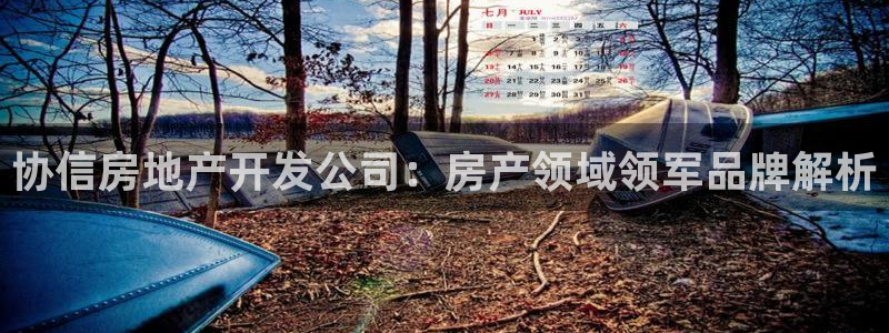 永利皮带官网