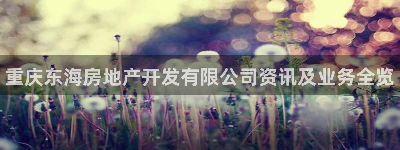 永利保险公司介绍