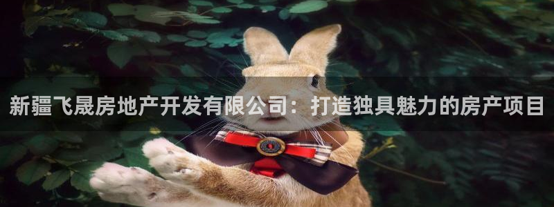 永利地产