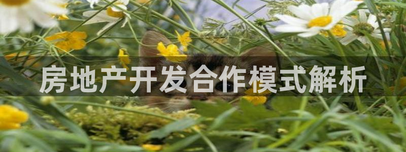 佛山永利工业皮带有限公司
