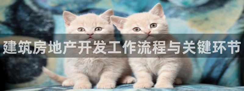 永利汇客房价格