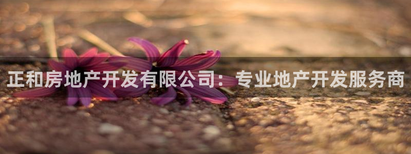 永利网会员