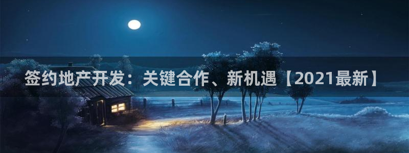永利保险公司介绍