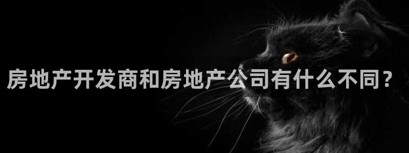 永利股份怎么样