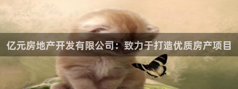 永利纺织有限公司