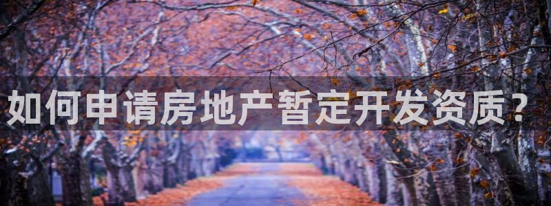 永利铔厂具体地址