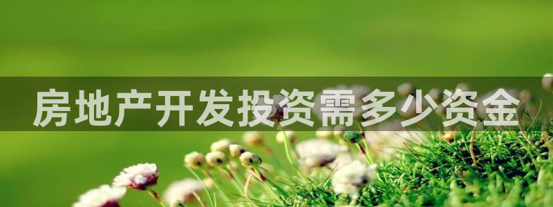 永利 股票