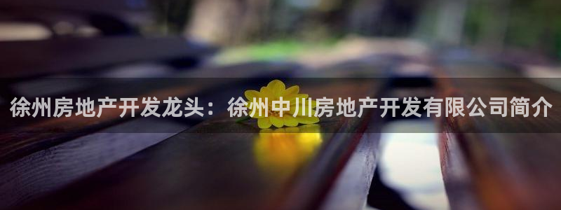 永利技术