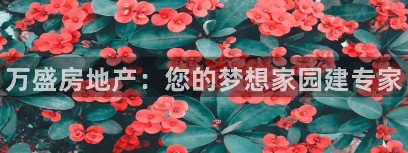 永利提不让提现怎么办
