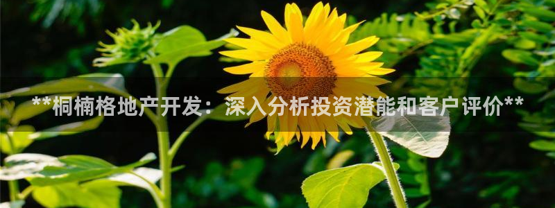 永利睹钱