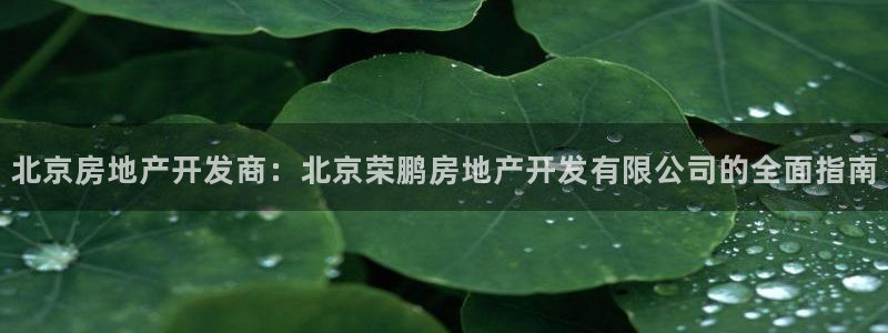 永利皮具厂东莞