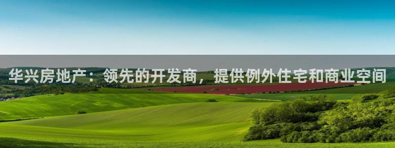 永利背一分什么价格