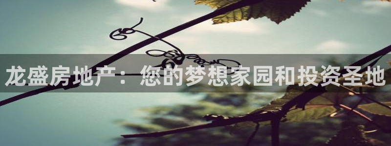 永利中国
