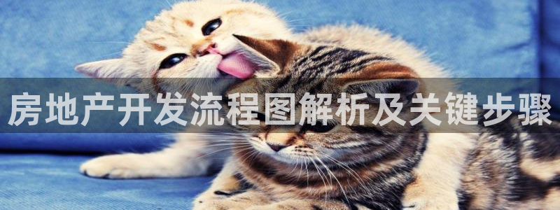 永利酒店购物