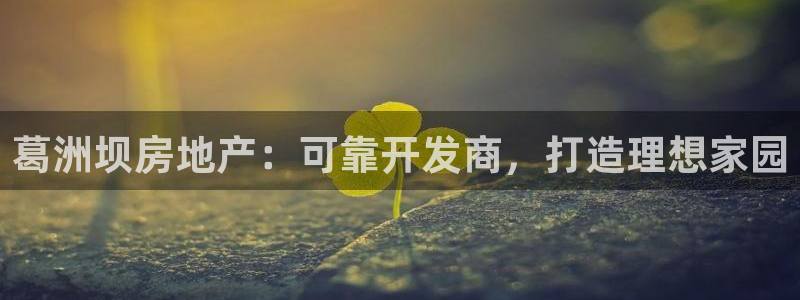 永利股份有限公司介绍