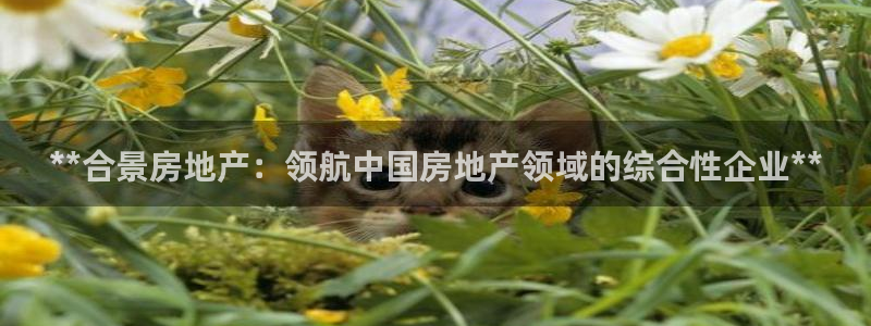 吉林市永利鹿业有限公司