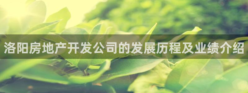 永利酒店有几家