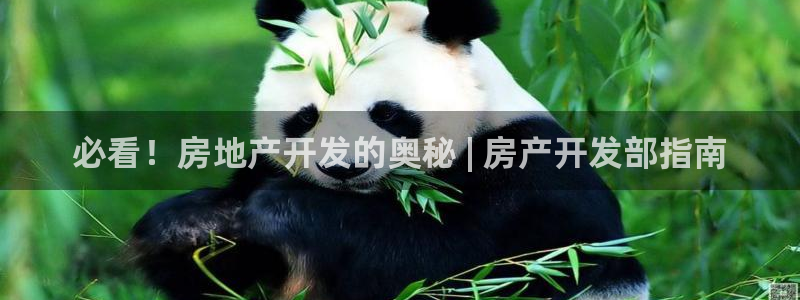 永利乳业