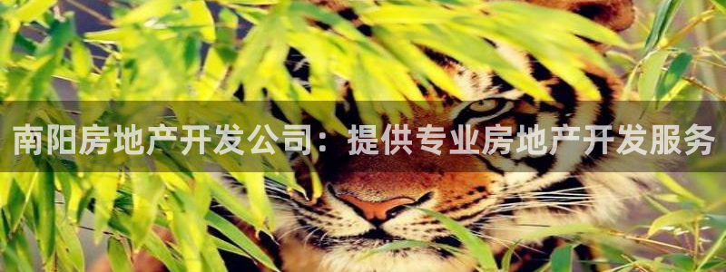 浙江永利集团