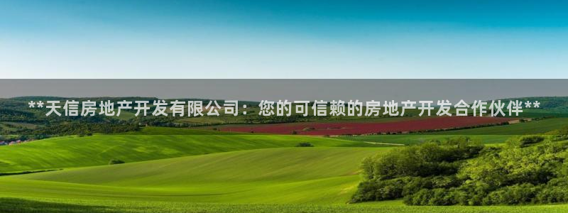 佛山永利工业皮带