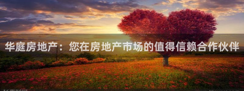 永利现场