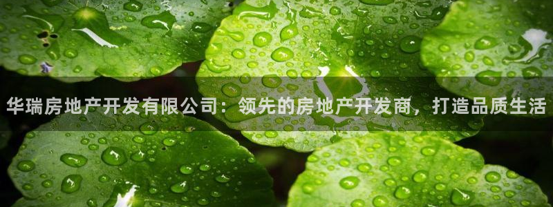 永利皮带型号说明书
