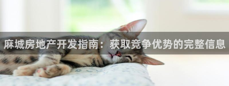 永利玩法