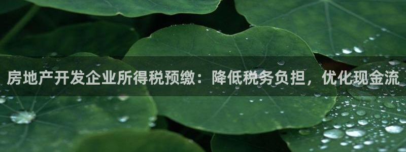 永利运动鞋是几几年出的