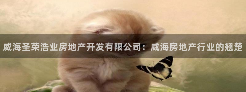 永利工艺品有限公司