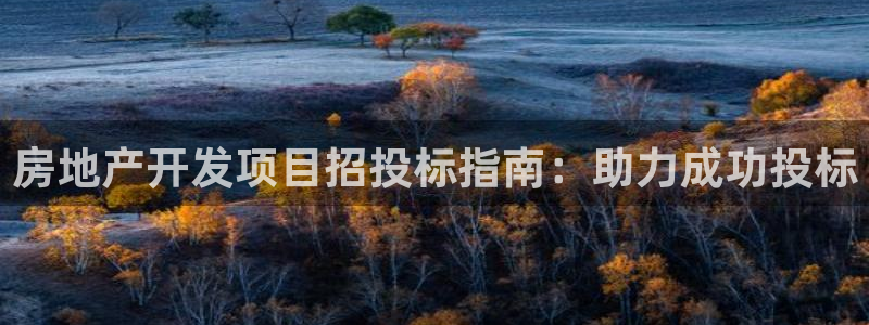 永利皮带型号