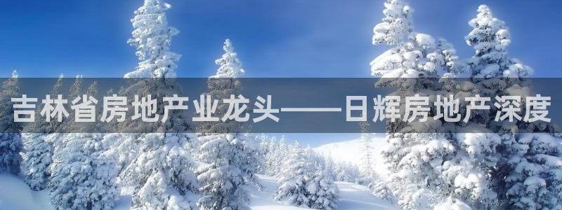 永利官网查询