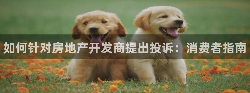 永利服装厂