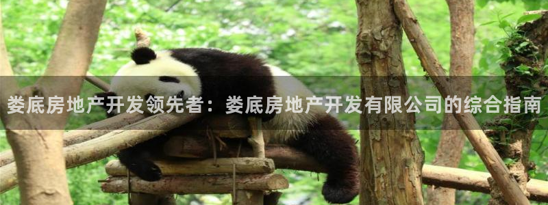 山东永利新材料