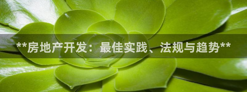 永利链条