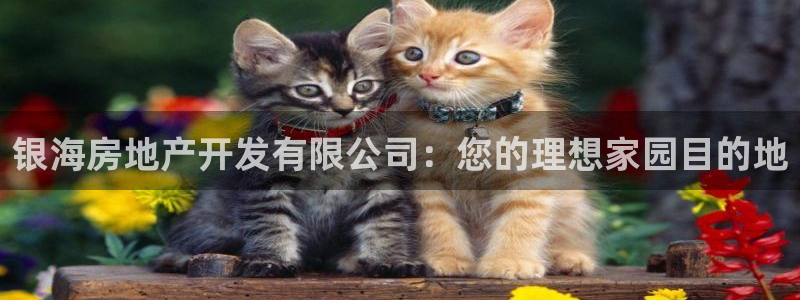 永利娱城