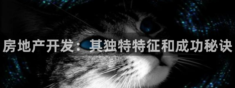 永利酒店有几家