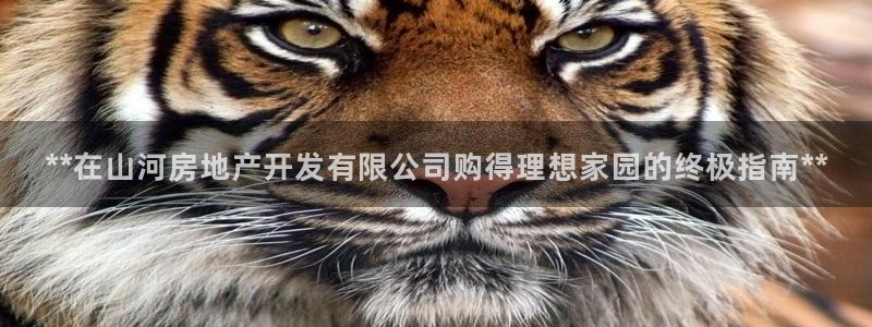 永利地产