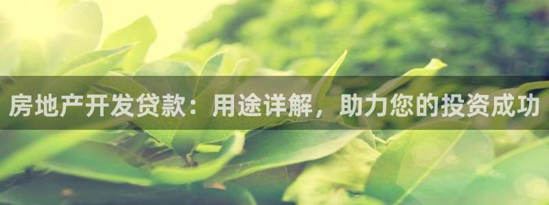 永利官网误乐域一个币多少钱
