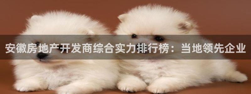 永利网络科技有限公司