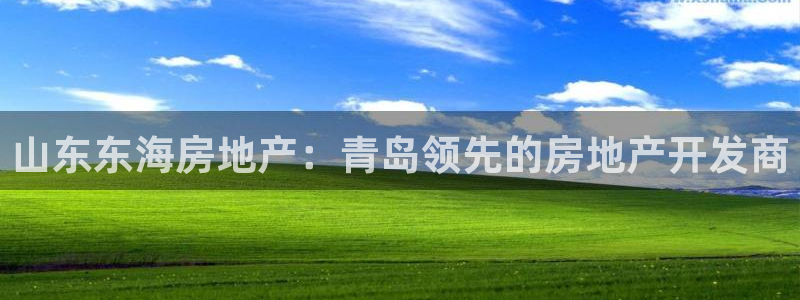 永利 官网
