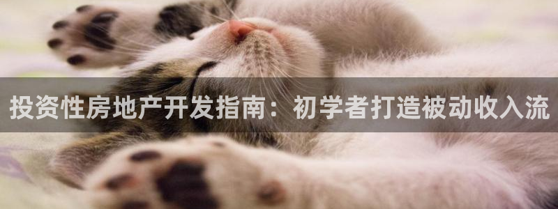 永利带业股票