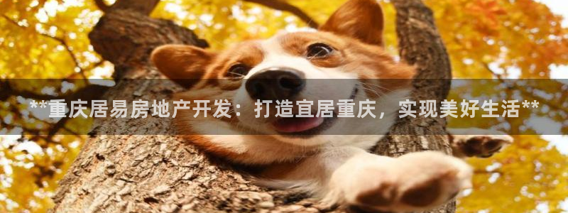 永利皮带官网旗舰店