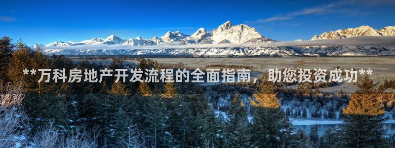 永利厂牌