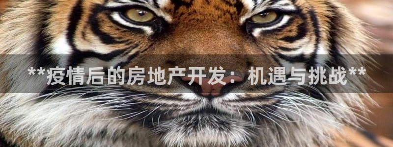 澳门永利游乐网址