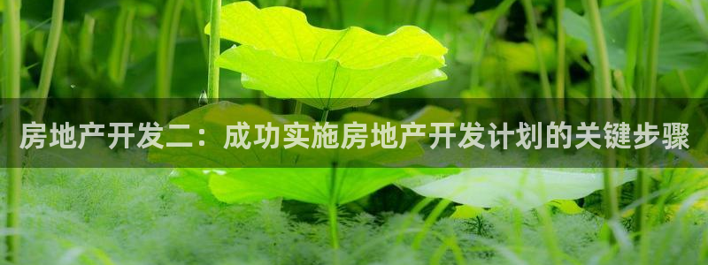 永利带业怎么样